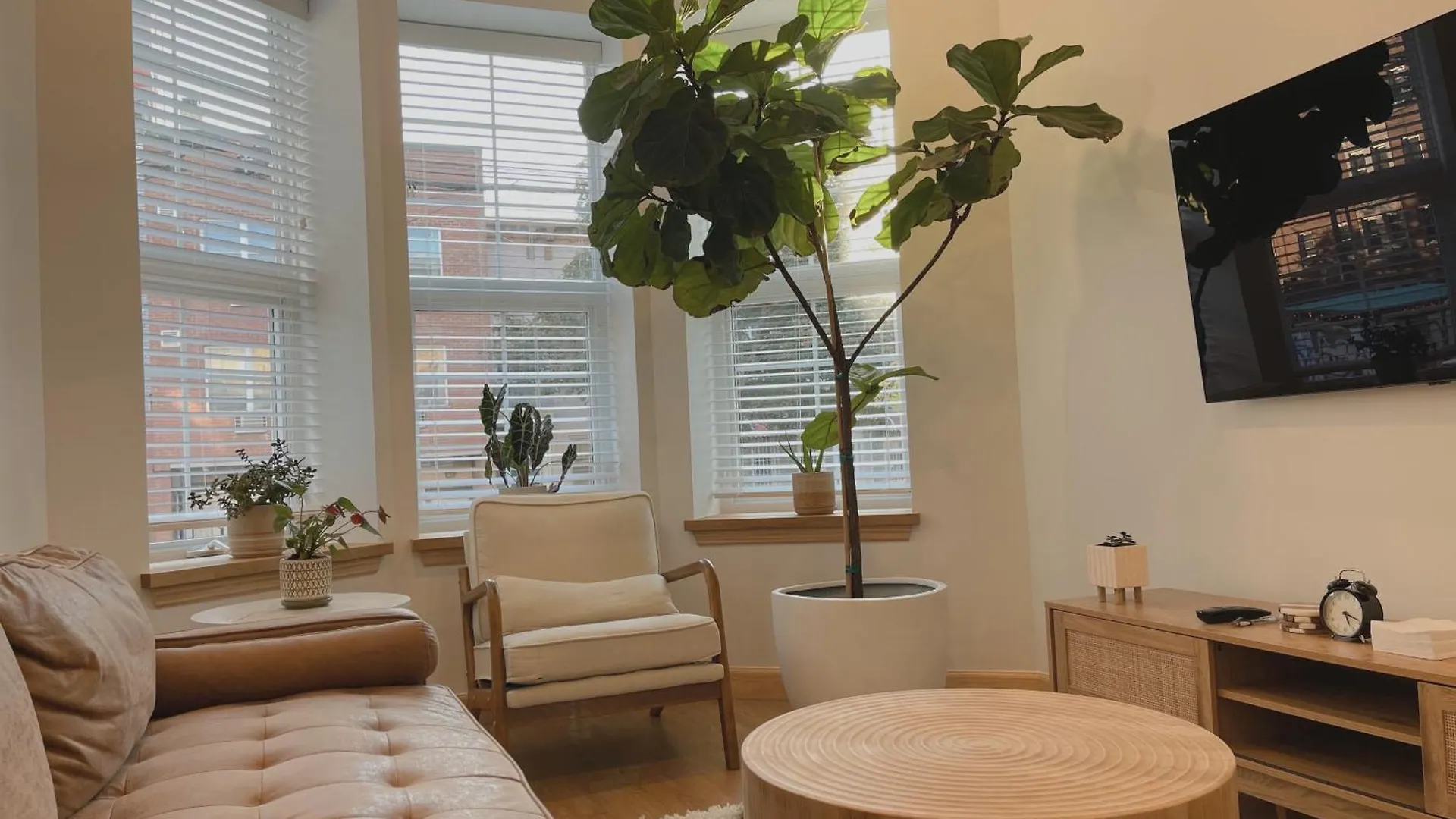 Beautiful Apartment Shared With The Host In The Heart Of Bushwick New York